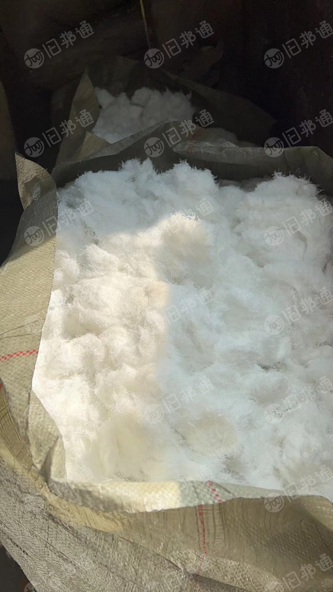 长期出售剪毛机下来的涤纶磨毛料，涤纶毛毛料