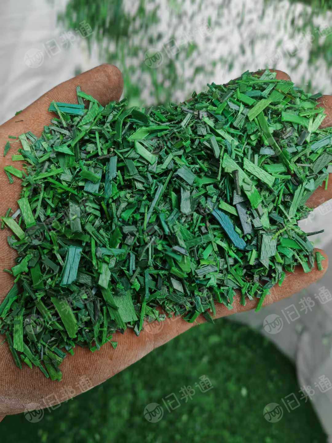 长期出售PET打包带破碎料,水粉