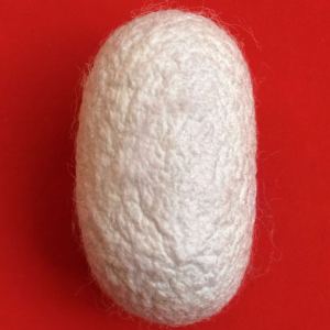 长期回收蚕丝被下脚料，开花后，自己做蚕丝被，厂在山东潍坊