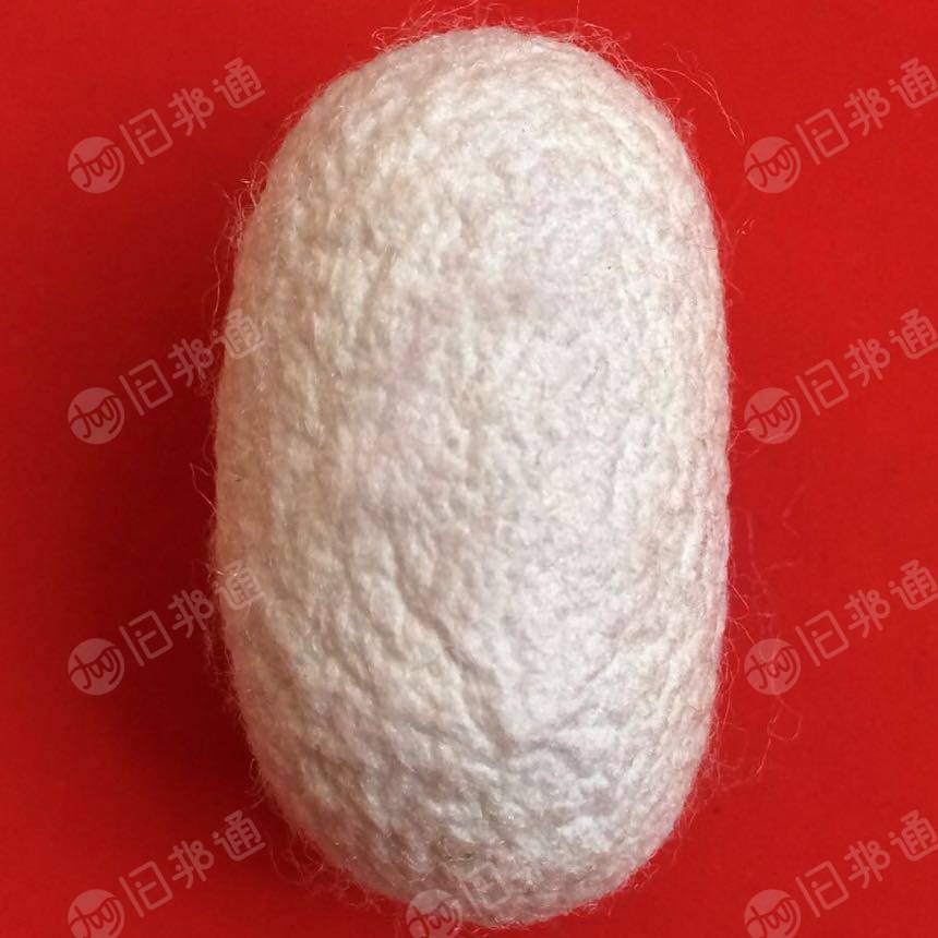 长期回收蚕丝被下脚料，开花后，自己做蚕丝被，厂在山东潍坊