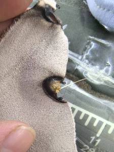 厂家长期出售服装废布，各种材质的都有，统货出，月供5吨左右，厂在湖南常德