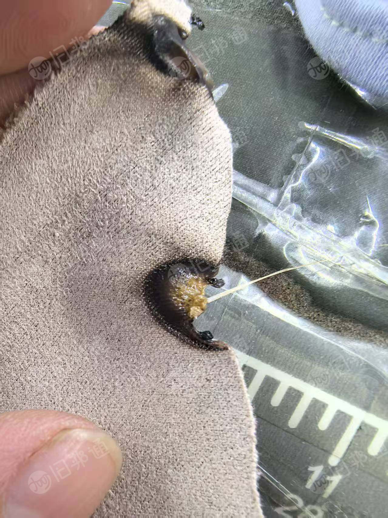 厂家长期出售服装废布，各种材质的都有，统货出，月供5吨左右，厂在湖南常德