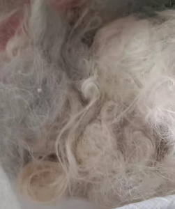 出售废白厂丝加捻丝,废蚕丝,真丝加捻丝,货在浙江湖州