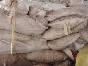 长年出售白色全棉平绒开花料，颜色有本白和奶白两种，现货9米6一车，货在江苏常州