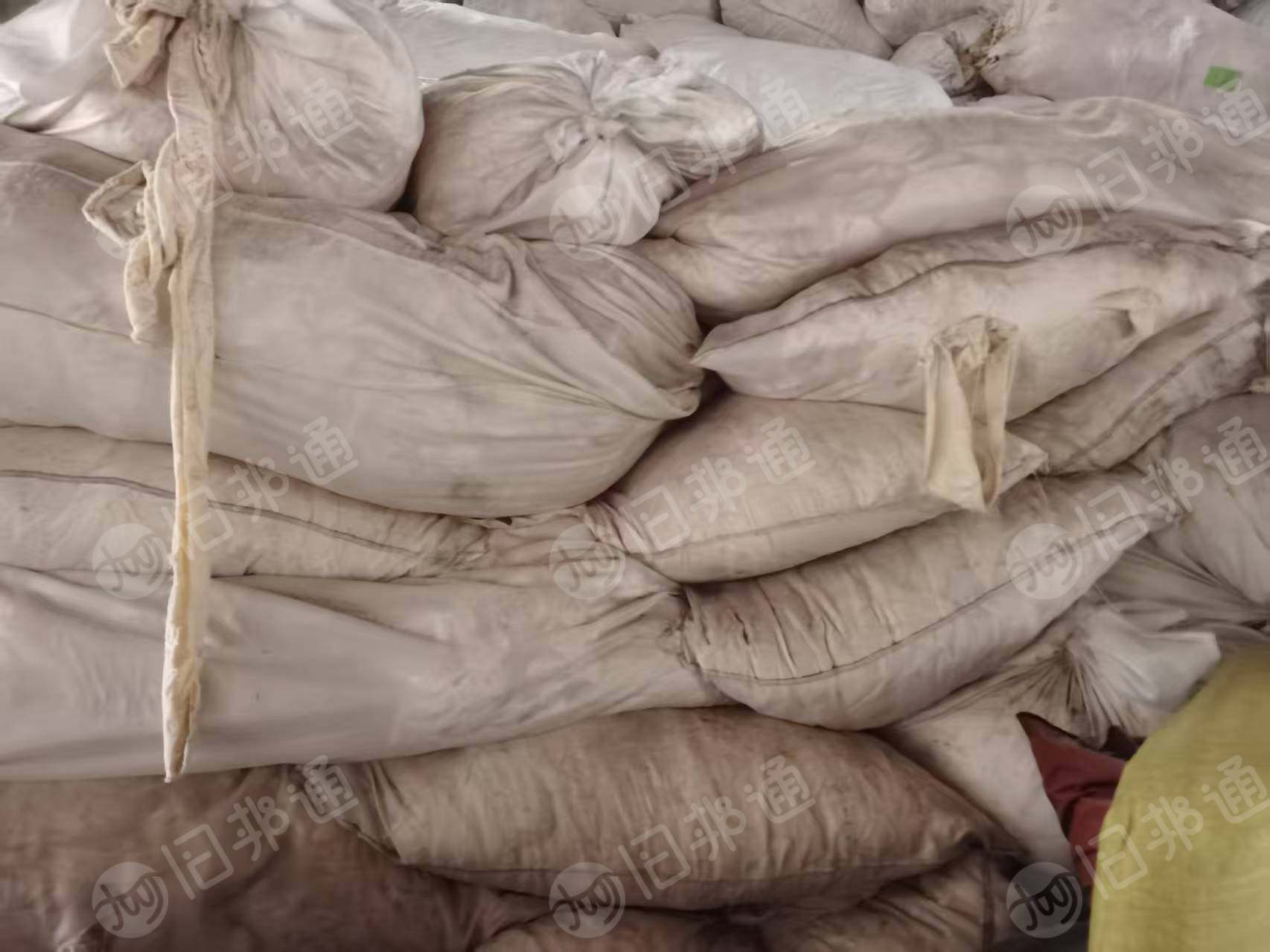 长年出售白色全棉平绒开花料，颜色有本白和奶白两种，现货9米6一车，货在江苏常州