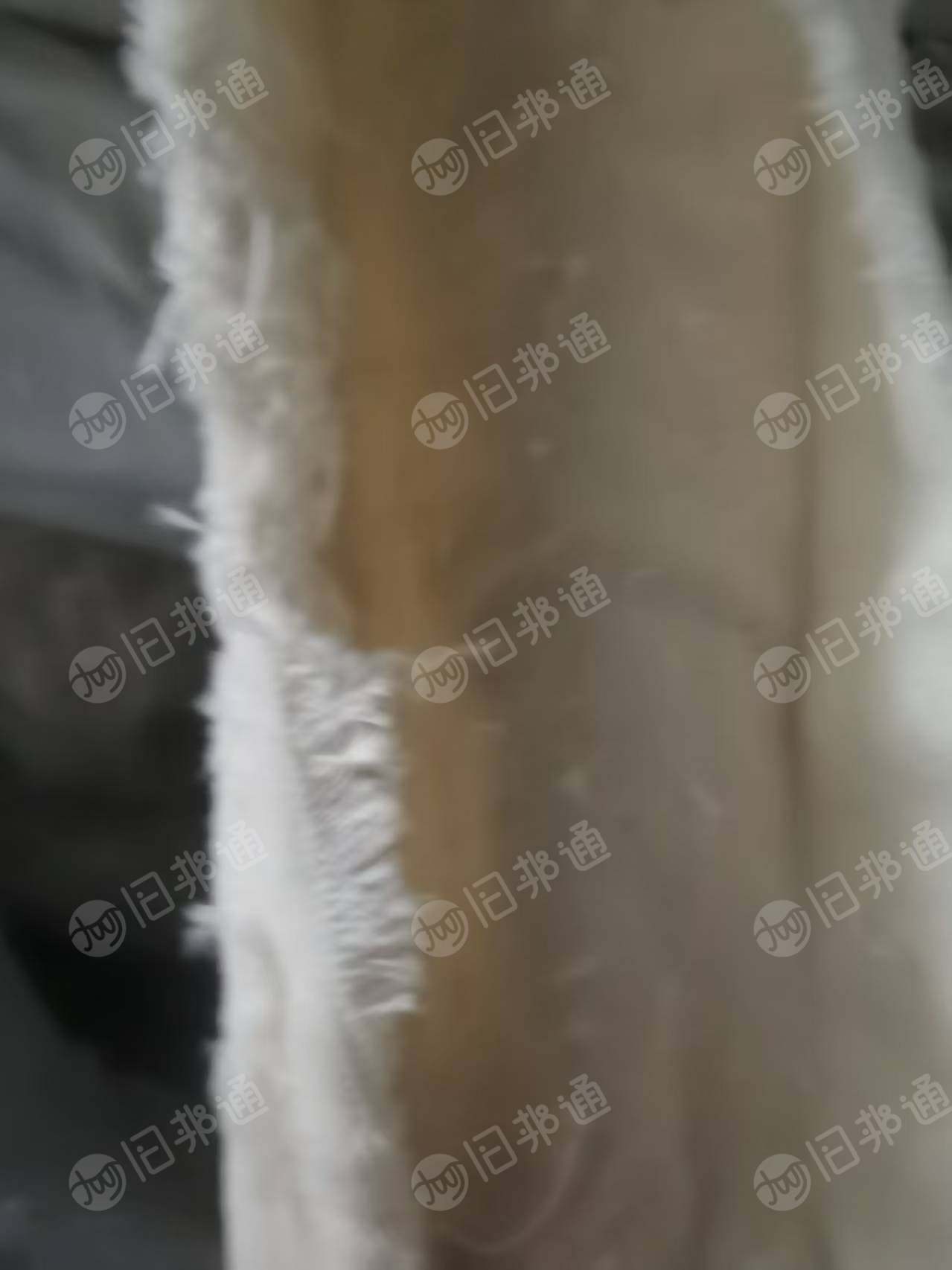 长年出售白色全棉平绒开花料，颜色有本白和奶白两种，现货9米6一车，货在江苏常州