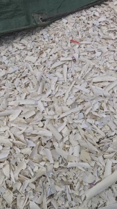 出售硬质PVC大小管破碎料，小管比例50到60左右，现货十几吨