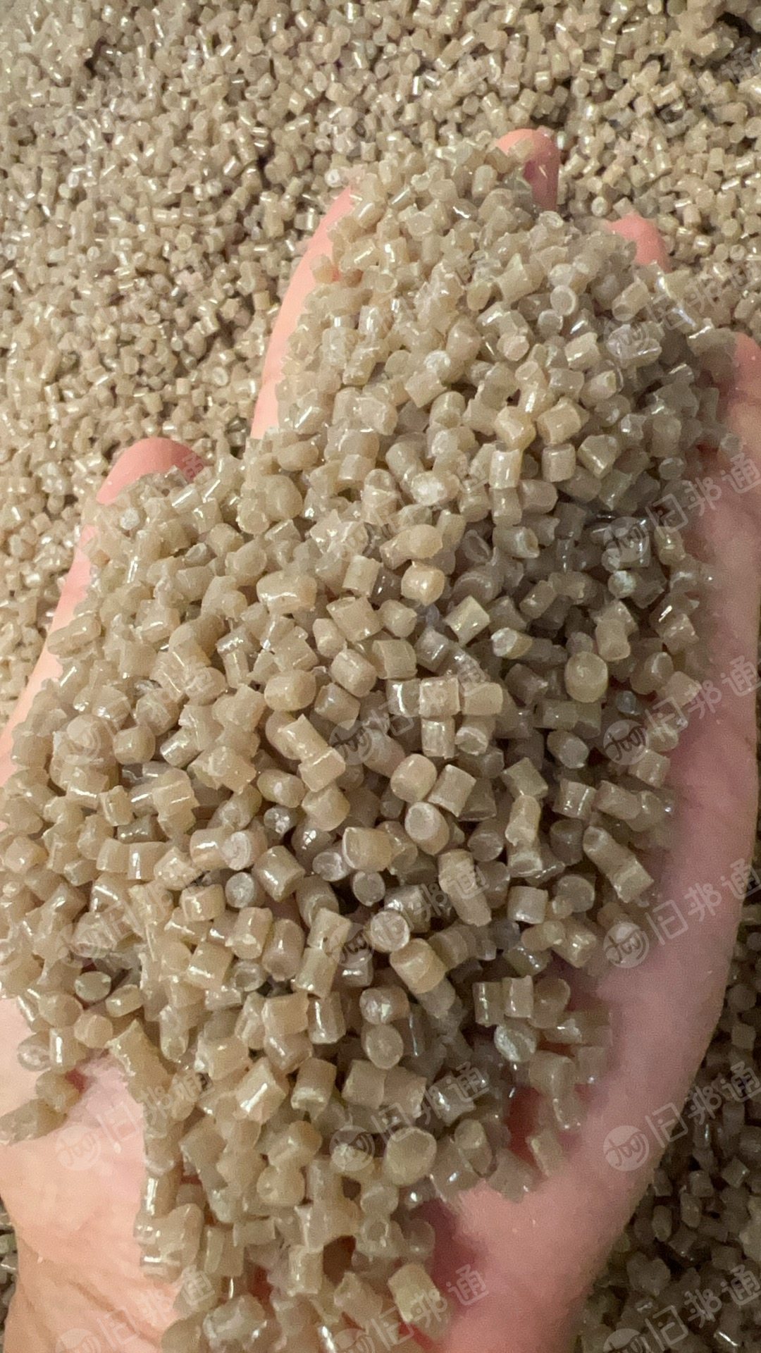 出售EPS 40 60 80 目茶料 月供100吨