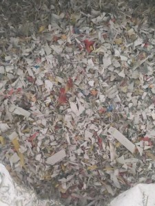 长期出售沉水pp打包带破碎料,现货9.6一挂车