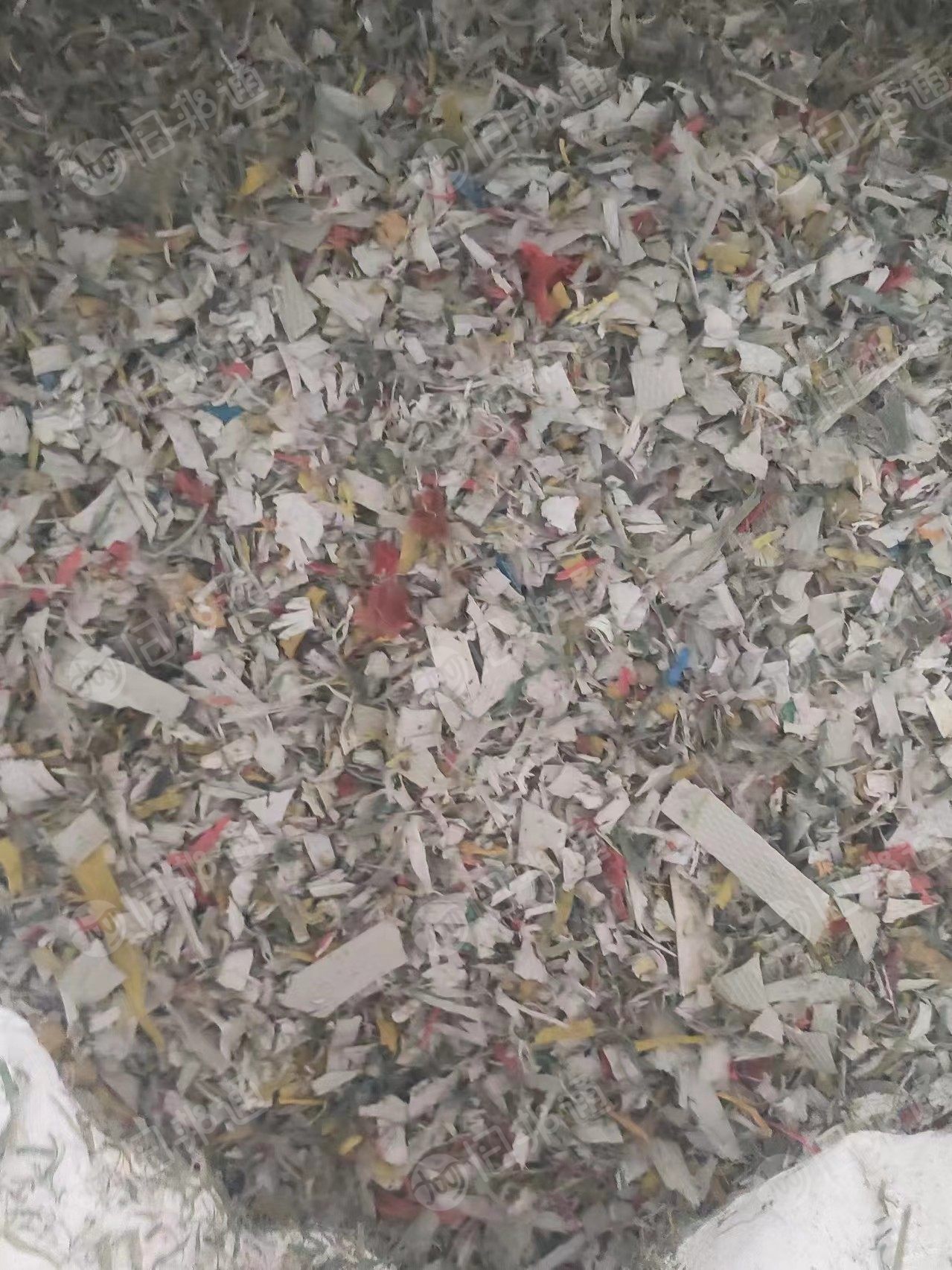 长期出售沉水pp打包带破碎料,现货9.6一挂车