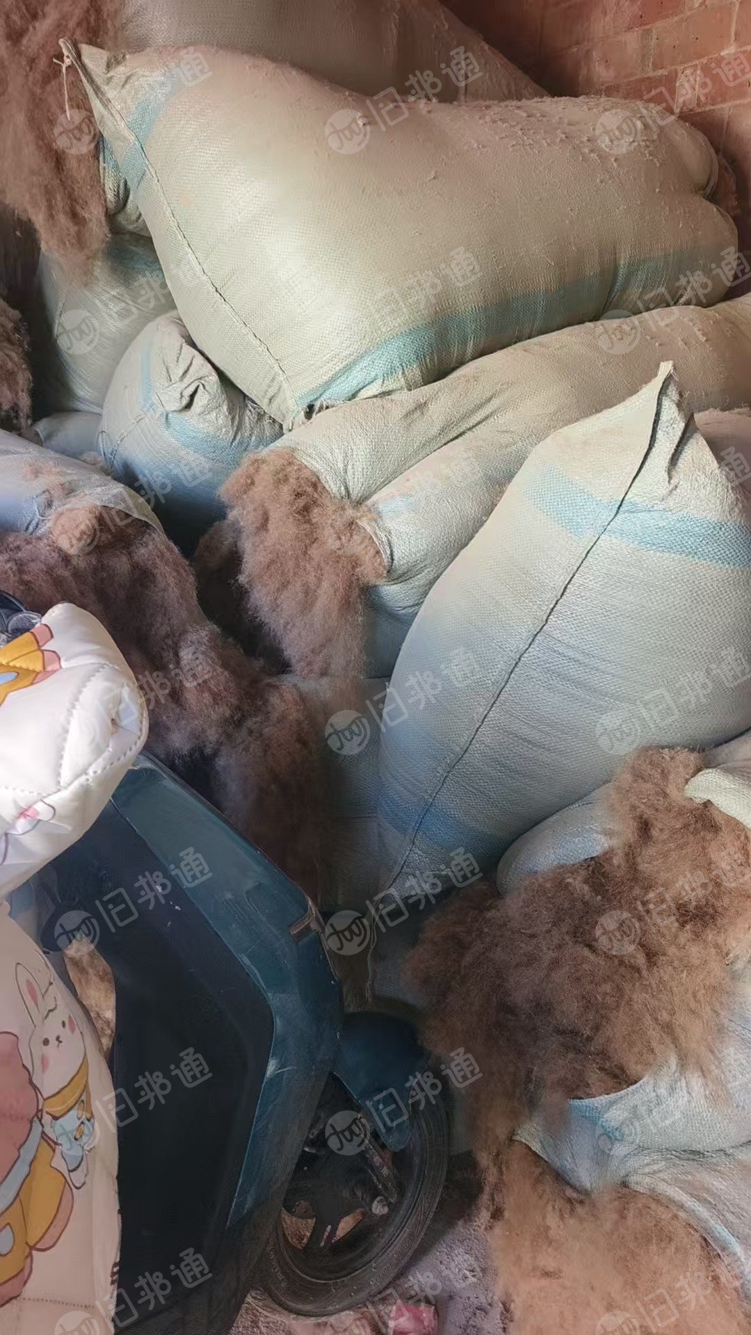 长期出售骆驼毛，梳绒机下来的骆驼毛渣，现货有几十吨，货在河北邢台