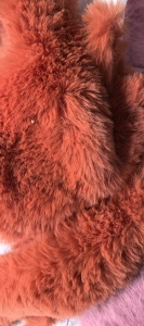 长期出售涤纶废布，皮毛一体废布，涤纶废布，造粒布，有分浅色跟老色，两天就有一车6米8，货在浙江嘉兴