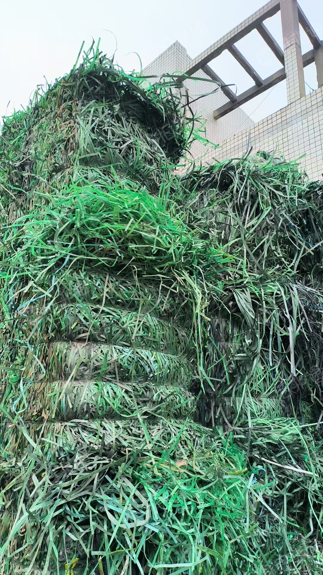 出售PET打包带毛料，现货二十多吨