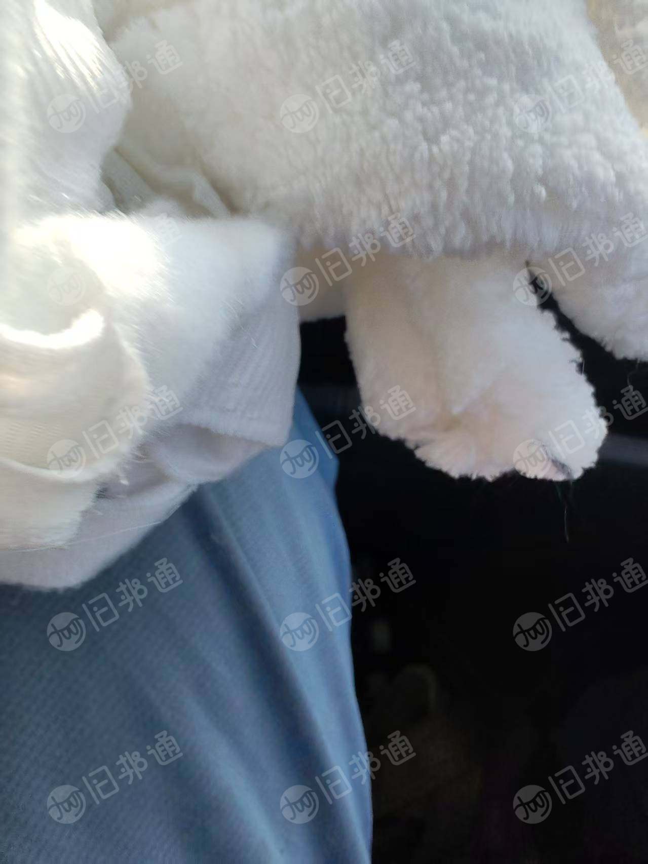 长期出售白色涤纶废布，毛毯边料，现货有六七吨，货在江苏苏州