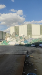 出售pet打包带毛料