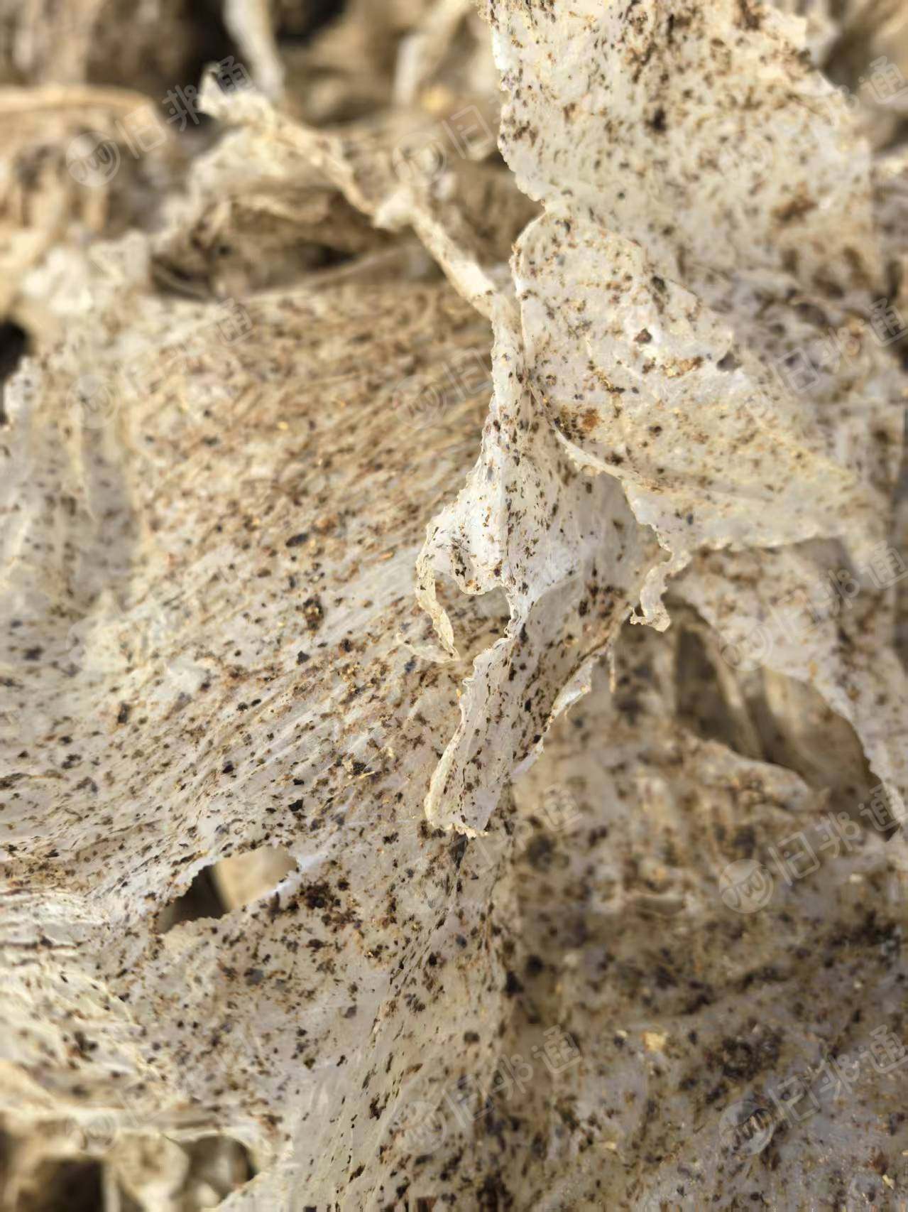 出售PP平菇膜废料，干造的，现货一挂多