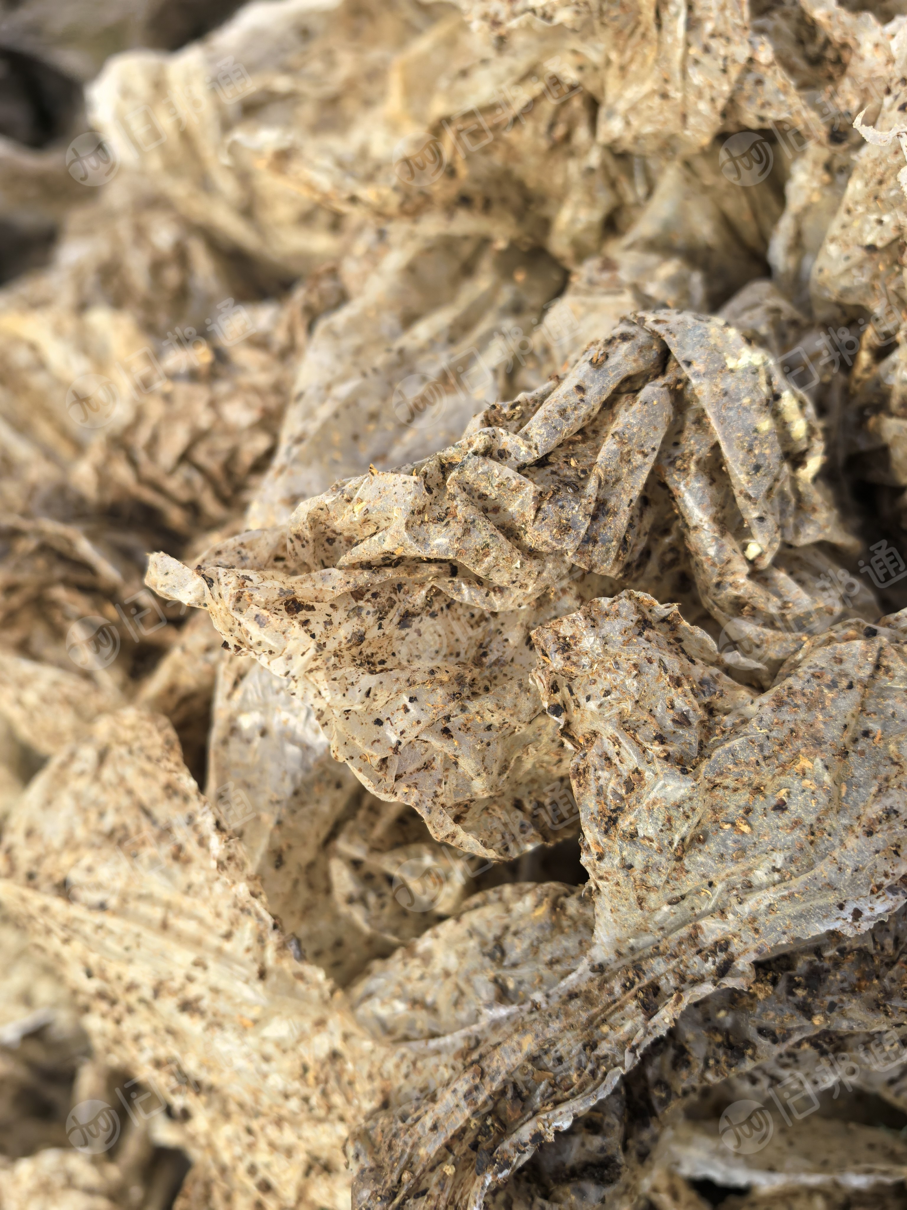 出售PP平菇膜废料，干造的，现货一挂多