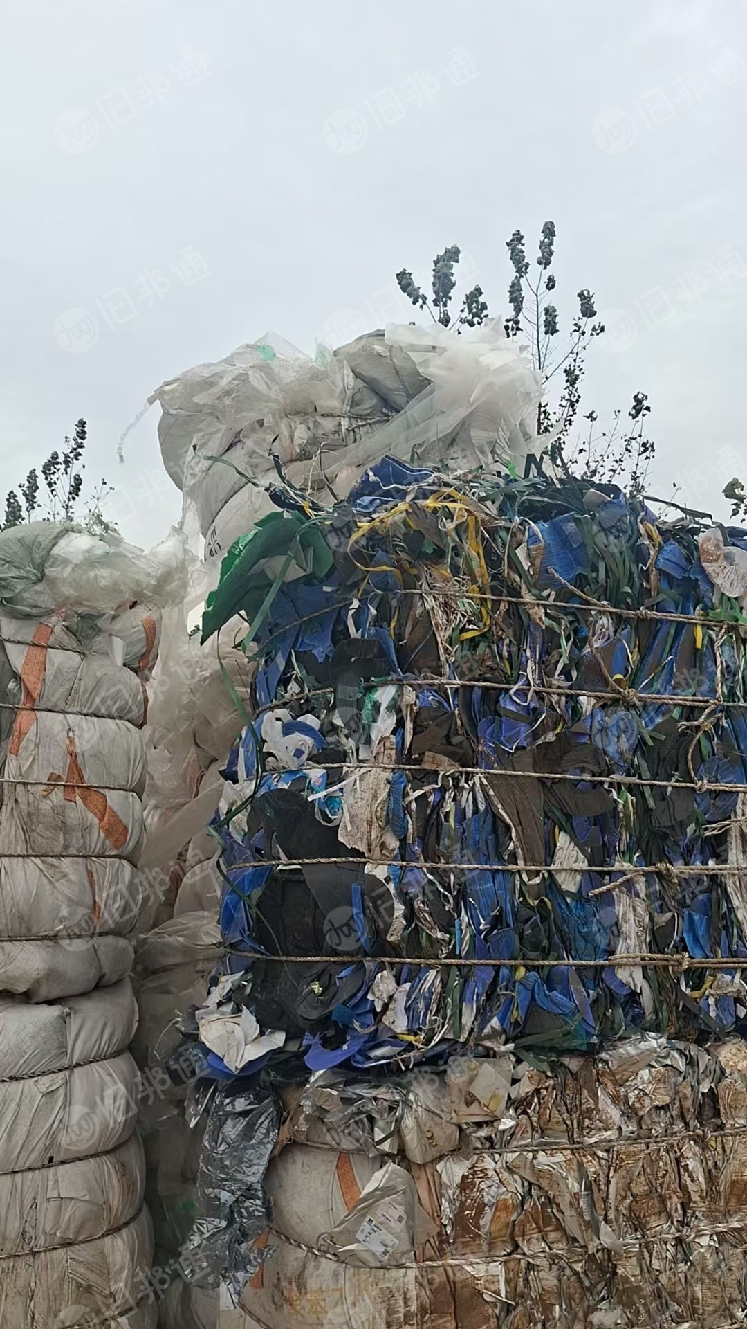 出售pet滑膜废料，现货20吨