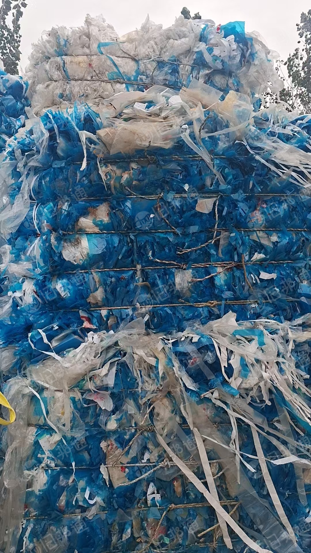 出售pet滑膜废料，现货20吨