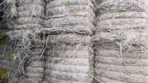 出售透明PP打包带废料