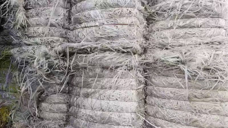 出售透明PP打包带废料