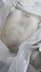 长期出售锦纶废丝，化工实验下来的，现货有2吨左右，在上海