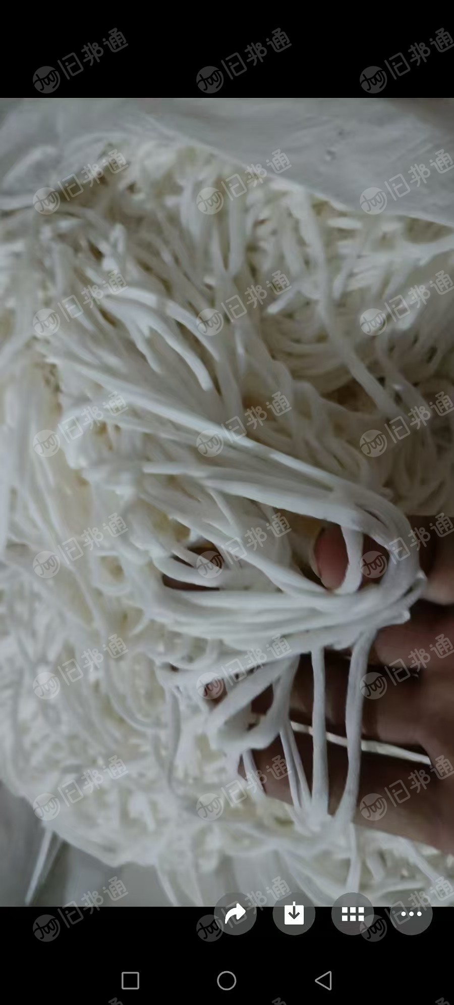 长期回收涤棉废布，白色的干净的，含棉20以上，开花用，月需100多吨，在山东潍坊