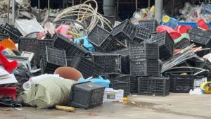 长期出售pp水果筐毛料，有压块