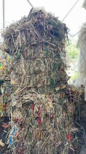 长期出售pp打包带废料，含少量pet打包带