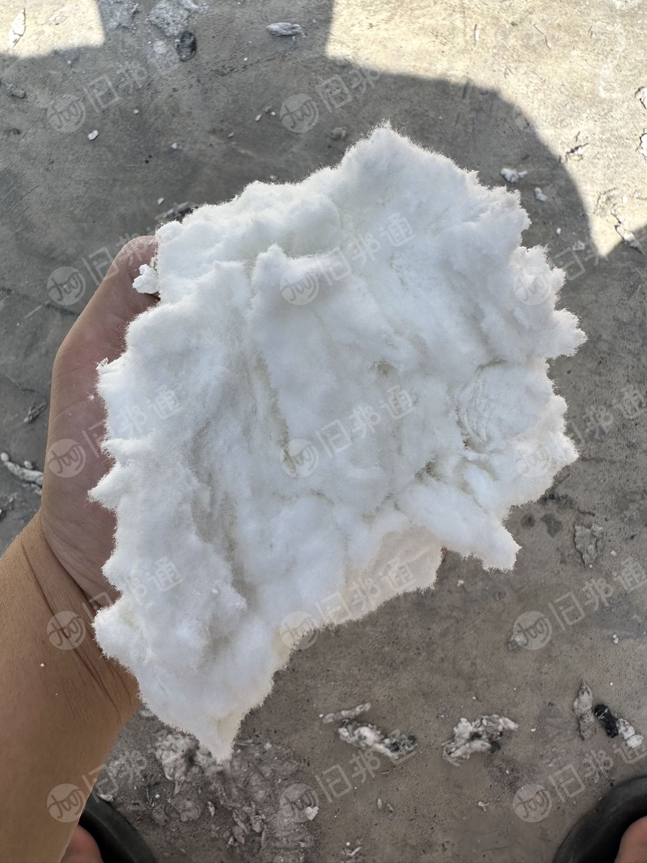 长期出售脱脂棉粉尘，磨毛料，纯棉无高分子，可以造纸用，每个月100吨，货在广东佛山