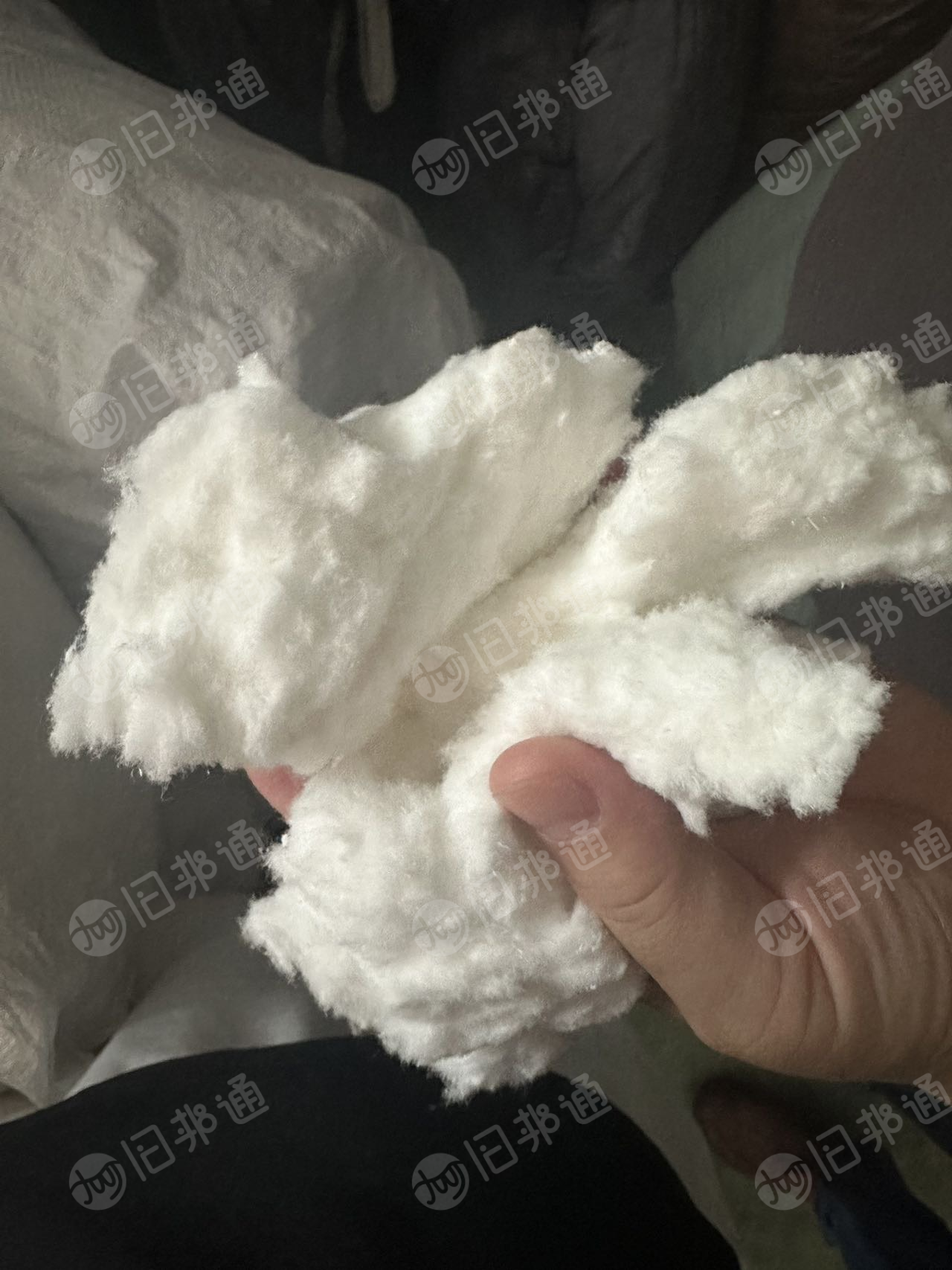 长期出售脱脂棉粉尘，磨毛料，纯棉无高分子，可以造纸用，每个月100吨，货在广东佛山