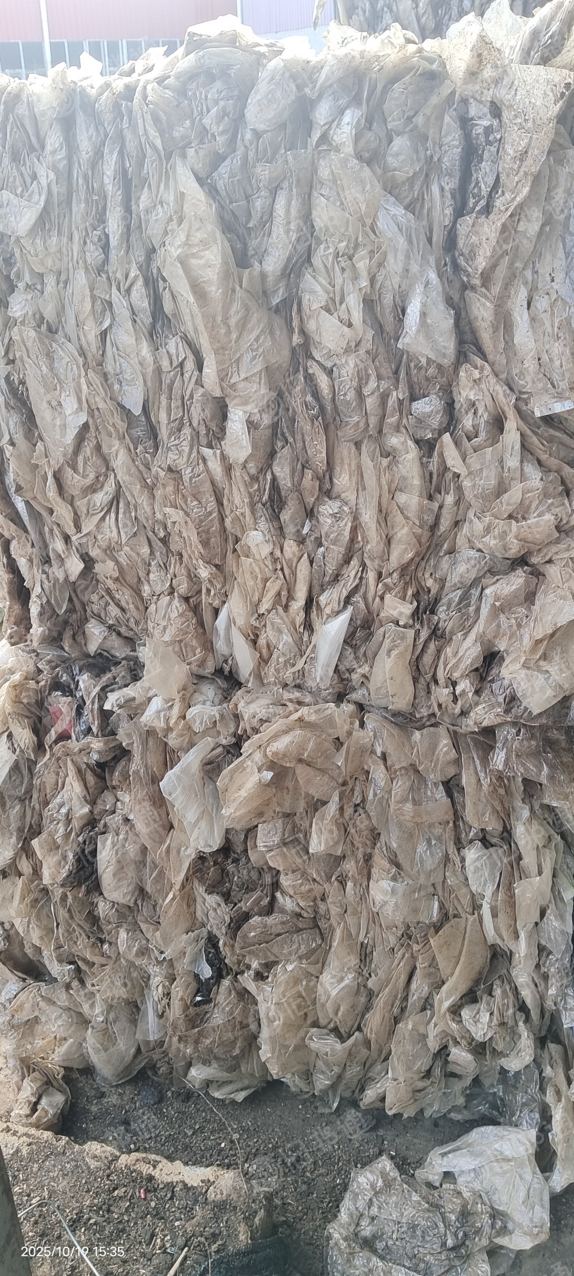 长期出售纯pp蘑菇袋废料，现货60吨