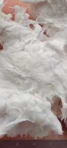 本厂长期供应针叶化学木浆，每天三车