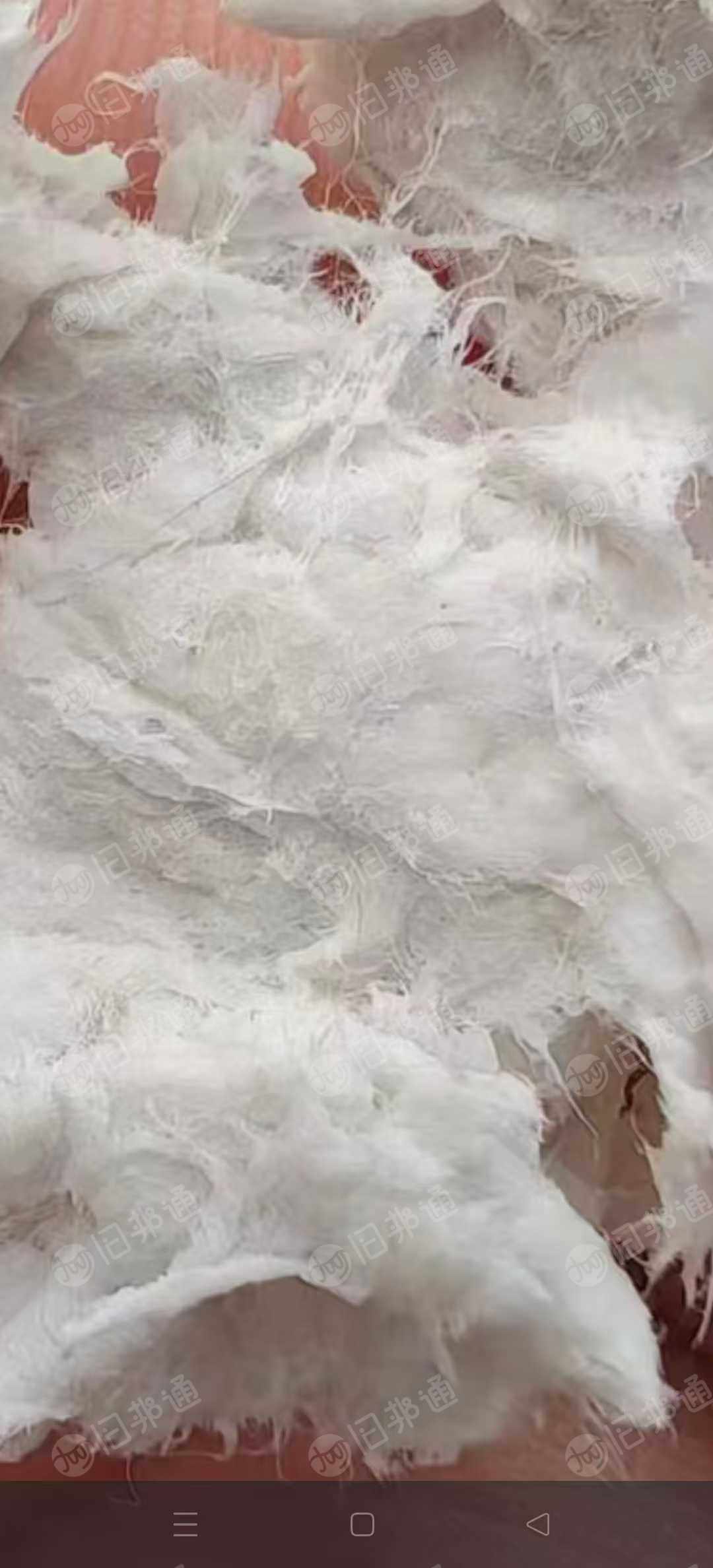 本厂长期供应针叶化学木浆，每天三车