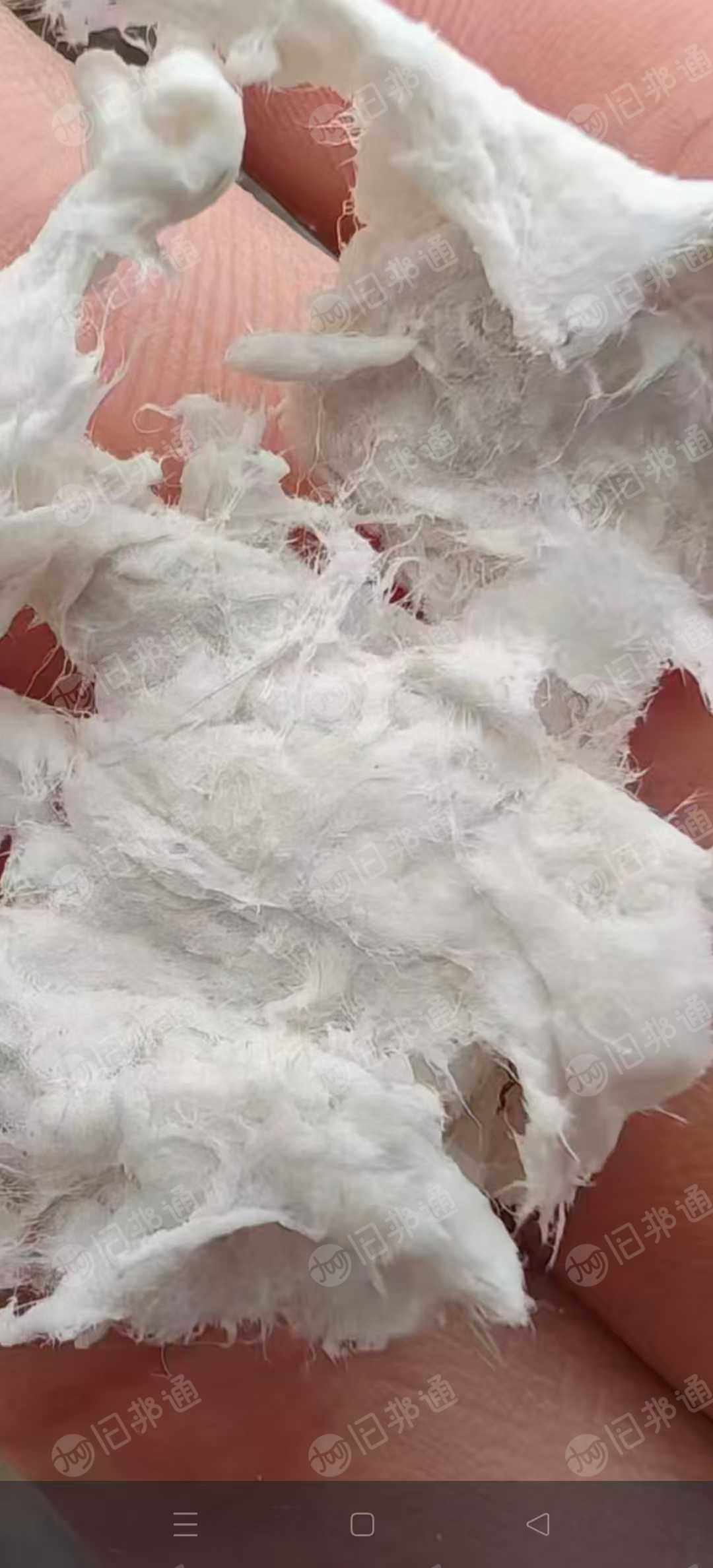 本厂长期供应针叶化学木浆，每天三车