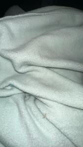 长期出售四件套大块布，全涤的舒肤绒，1.5*2 2*2.5规格，有三四个颜色，零头布，货在江苏苏州