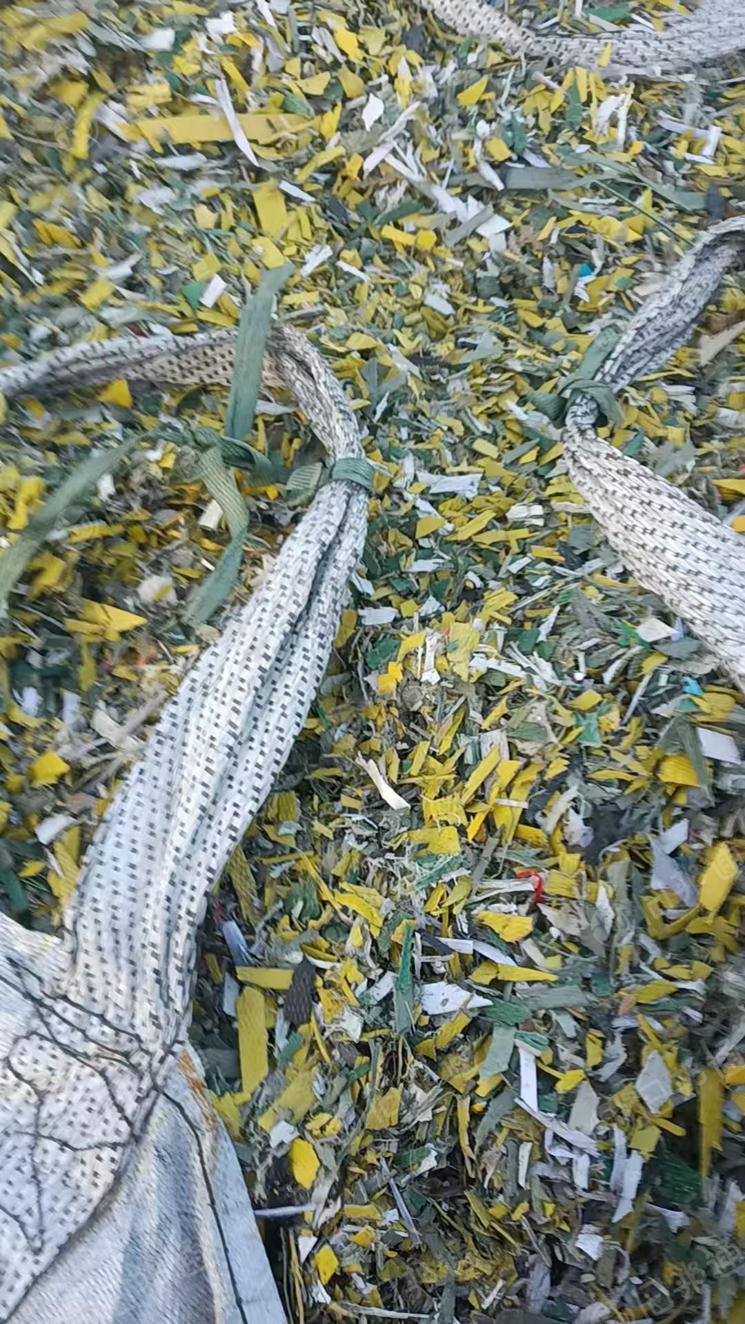 出售杂色PP打包带破碎料,漂沉一起