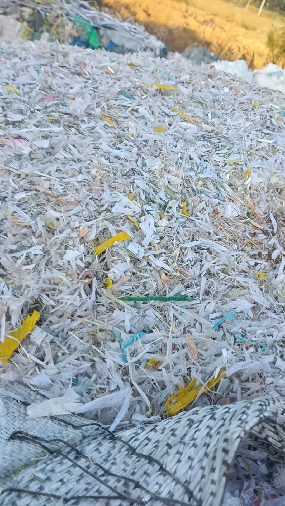 出售杂色PP打包带破碎料,漂沉一起