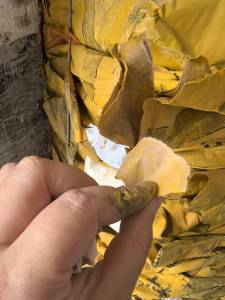 出售装颜料的纯牛皮纸袋废料