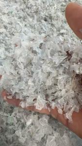 出售pet育苗盘破碎料，月供100吨