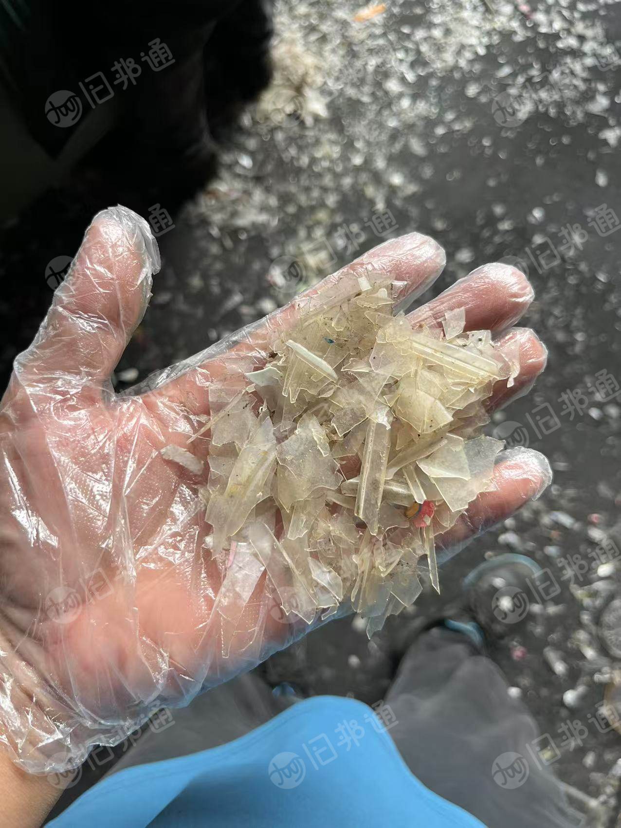 出售餐盒破碎料，干破的，现货20吨