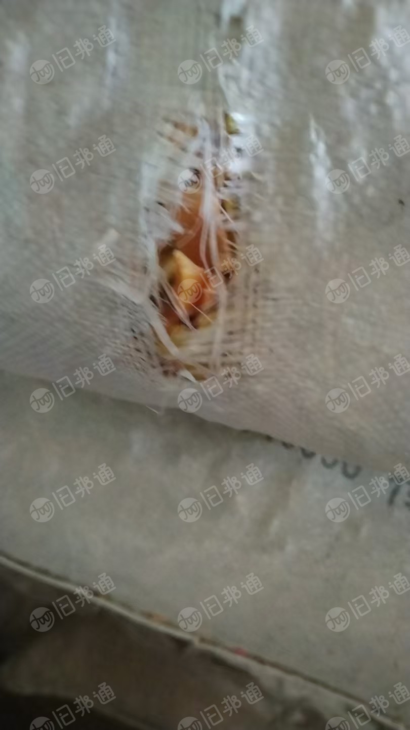 出售PE框破碎料，现货二十几吨