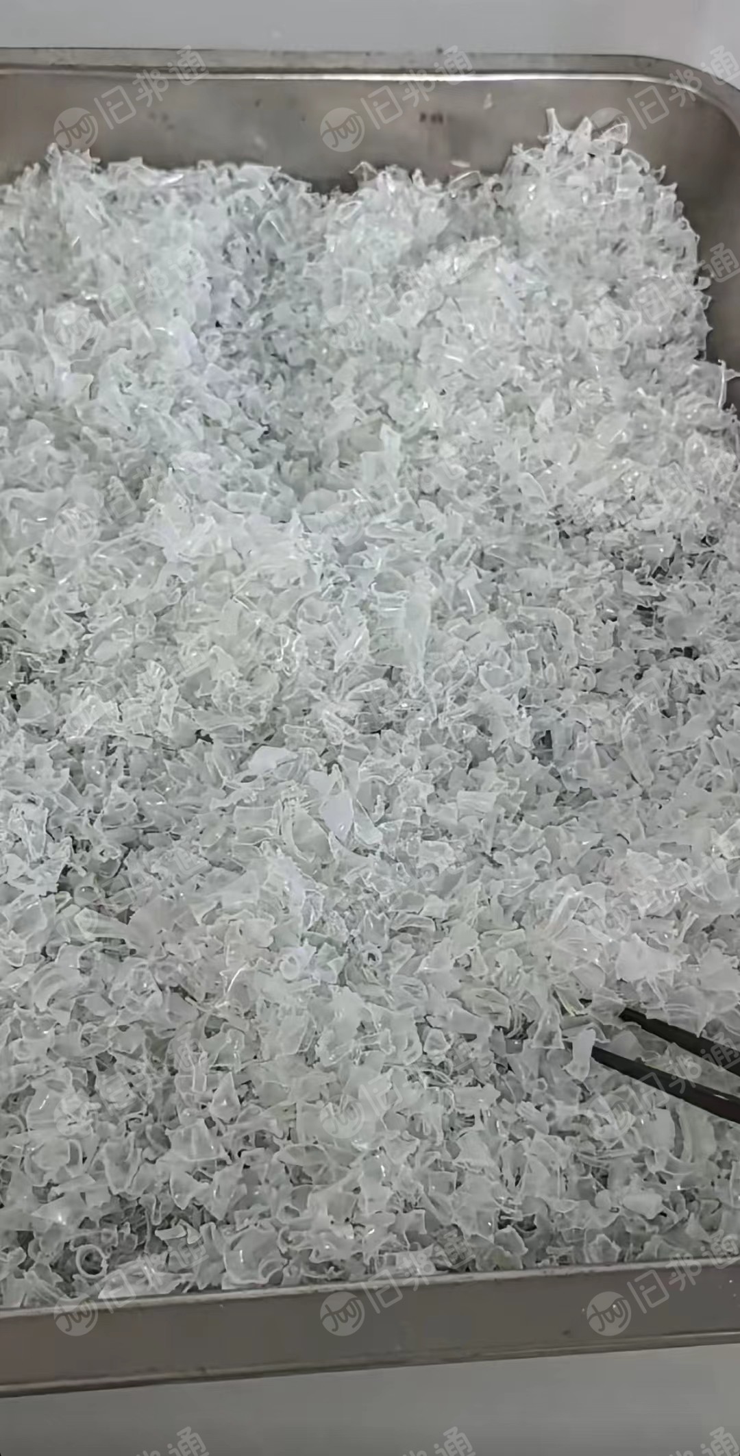 长期出售热洗pet白片，够车发走