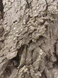 纸厂长期收购低端废纸浆、纸厂尾浆，生产纱管纸