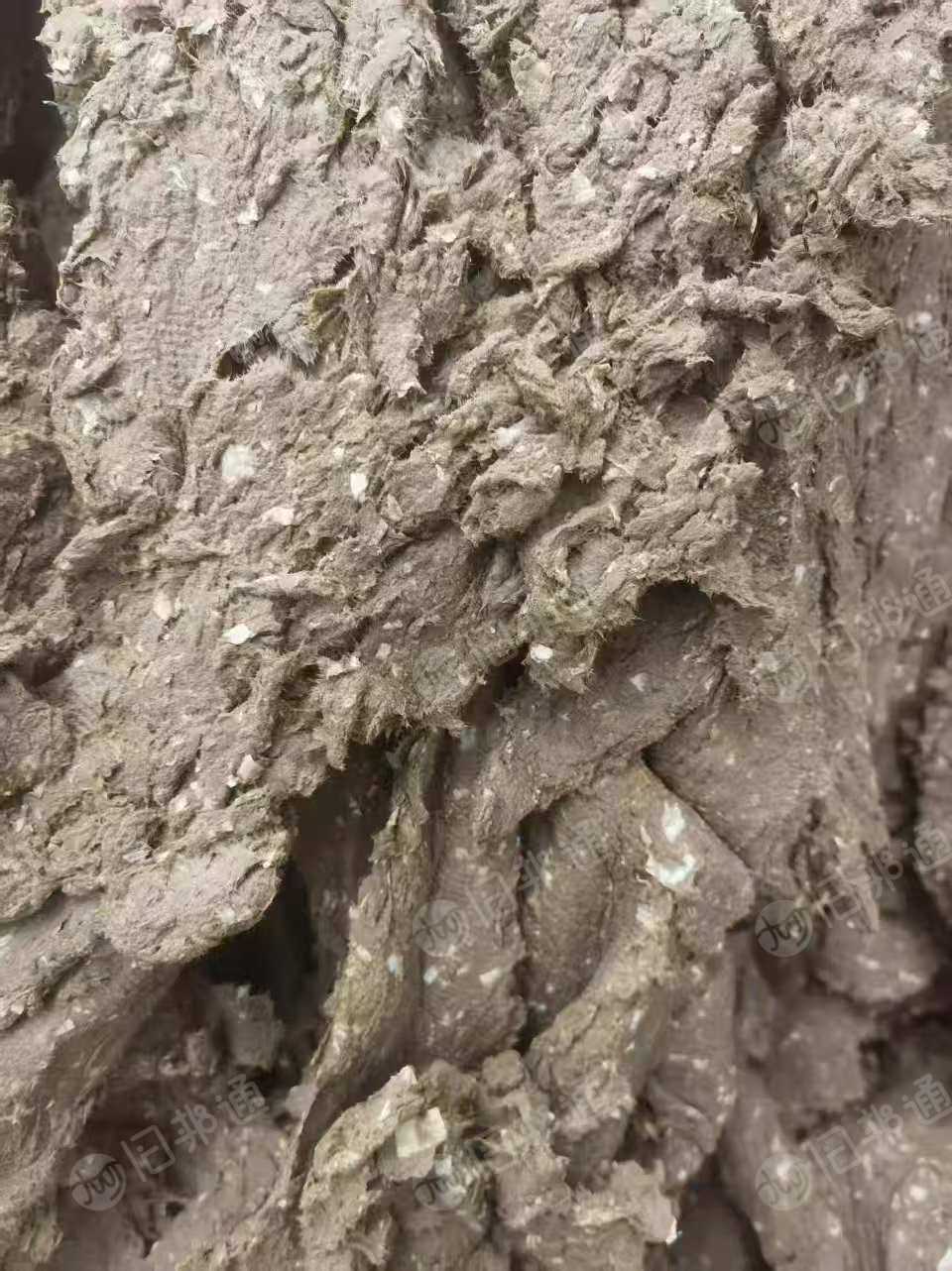 纸厂长期收购低端废纸浆、纸厂尾浆，生产纱管纸