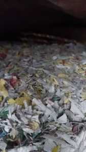 出售pp打包带破碎料，漂沉一起的， 月供200吨