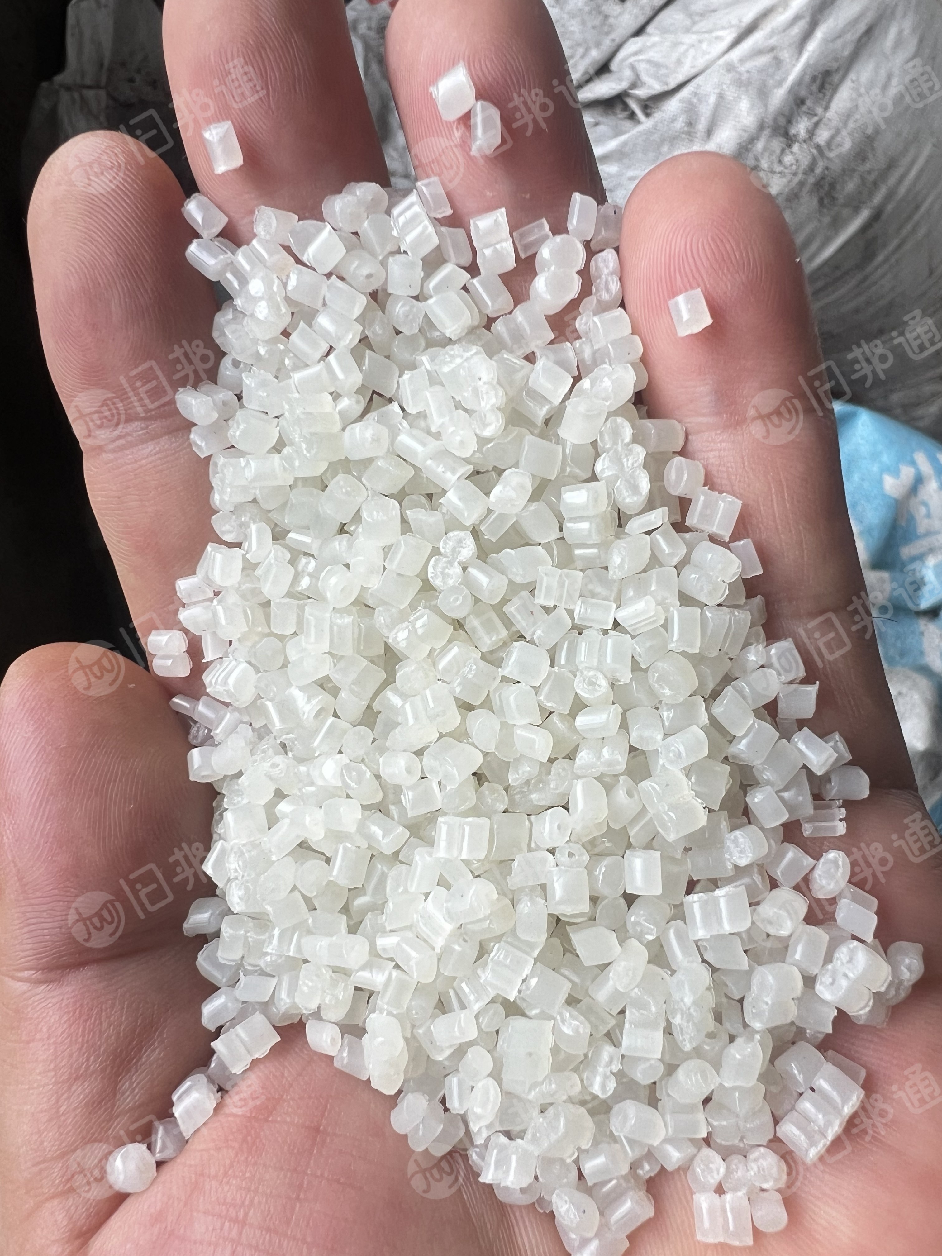 出PP餐盒颗粒，过80目，可定制