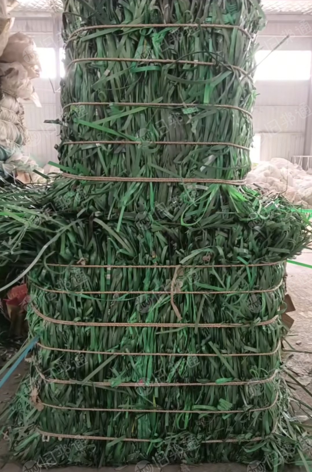 长期出售PET打包带废料，绿条压块