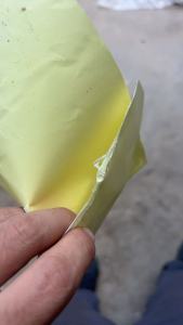 出售双面淋膜纸废料，大部分是黄色
