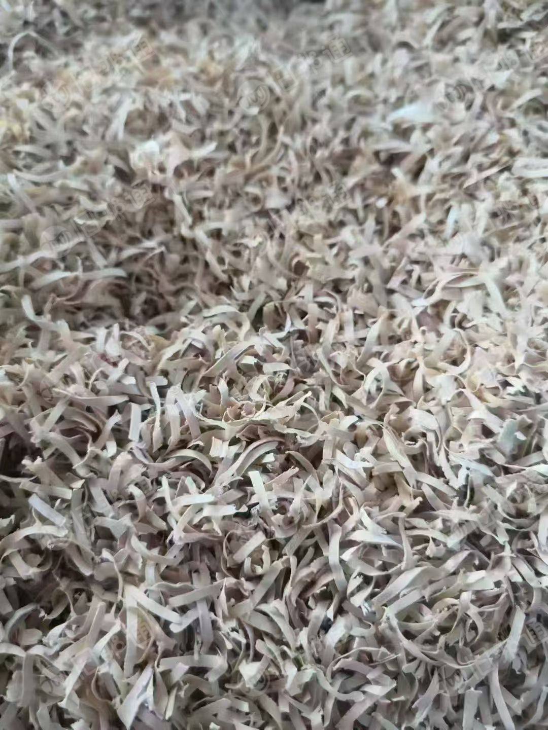 出售PVC密封条刨花料，封边条刨花，现货9.6一车